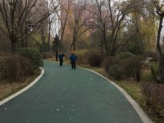-迎泽公园