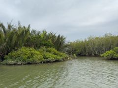 -东寨港红树林旅游区