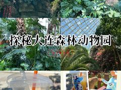 -大连森林动物园