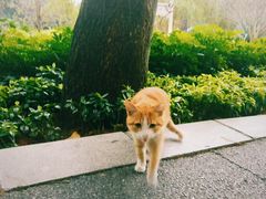 -晓港公园