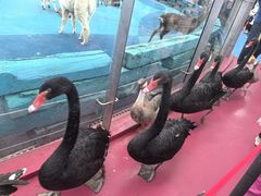 -宁波野生动物园