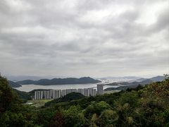 -黄贤森林公园