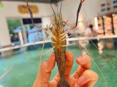 -嘻虾·钓虾工场(东莞总店)