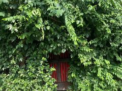 门面-斯多格书乡(北京大学畅春园店)