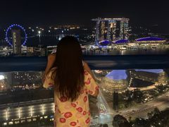 -新加坡瑞士史丹福酒店