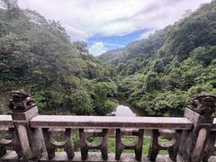 -鼎湖山风景区