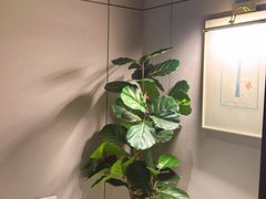 -趣柯里酒店(长沙岳麓山店)