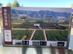 -秦始皇帝陵博物院-丽山园