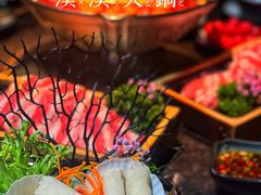 -湊湊火锅·茶憩(新中关购物中心店)