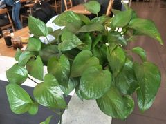-李先生牛肉面大王(莱芜信誉楼店)