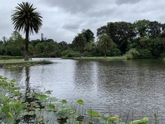 -墨尔本皇家植物园