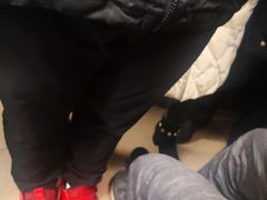 -宽窄巷子(地铁站)