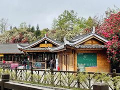 -贵州百里杜鹃风景名胜区