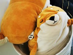 -五进制 Coffee Shop