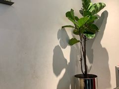 -喜茶(上海兴业太古汇店)