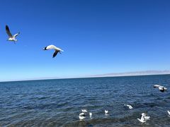 -青海湖国家重点风景名胜区