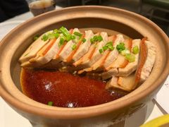 -阳光天地