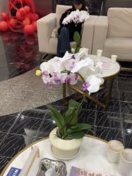-上海首尔丽格医疗美容医院