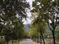 -孙武文化园-停车场