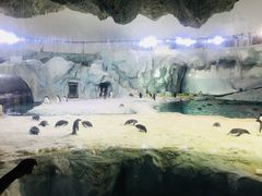 -横琴湾水世界