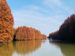 -上海海湾国家森林公园