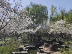 -范蠡湖公园