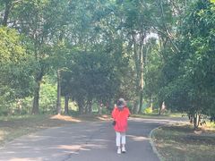 -梁鸿国家湿地公园