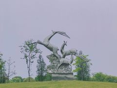 -广富林郊野公园
