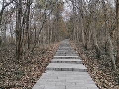 -南京金牛湖风景区