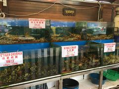 -真浪花园海鲜餐馆