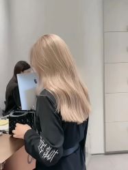-YESIDO椰岛造型