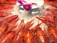 -舞虾小说.涮肉.烧烤(国顺东路店)