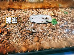 -上海昆虫博物馆