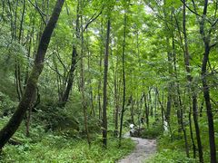 -青峰峡国家森林公园