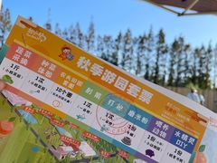 -前小桔亲子创意农场·草莓采摘·露营烧烤