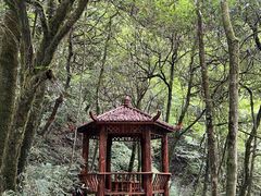 -西岭雪山大飞水景区