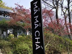 -MAMACHA妈妈茶(岳麓山店)
