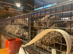 -老五烧烤(石牌岭店)