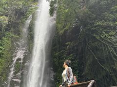 -莫里热带雨林景区