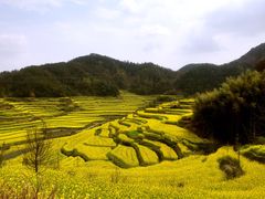 -灵山景区梯田