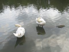 -呀诺达热带雨林