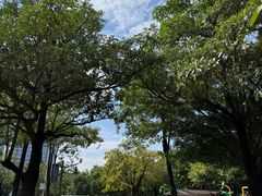-云溪植物园