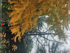 -中央广播电视总台(光华路办公区)