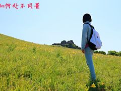 -乌兰布统草原