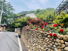 -莫干山风景区