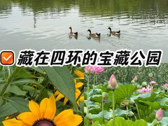 -太阳宫公园
