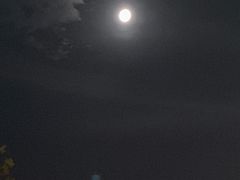 -远洋未来广场(育慧北路店)