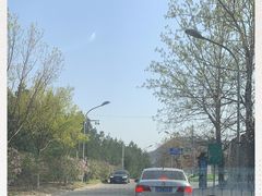 -阳台山自然风景区