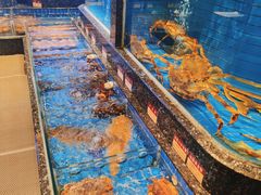 -金悦轩海鲜酒家(南宁店)