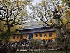 -普陀山风景名胜区-法雨禅寺